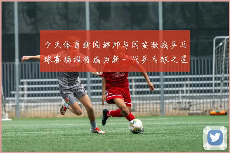 今天体育新闻郝帅与闫安激战乒乓球赛场谁将成为新一代乒乓球之星